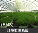 (EMS)环境监测系统