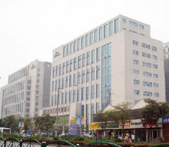 上海分公司